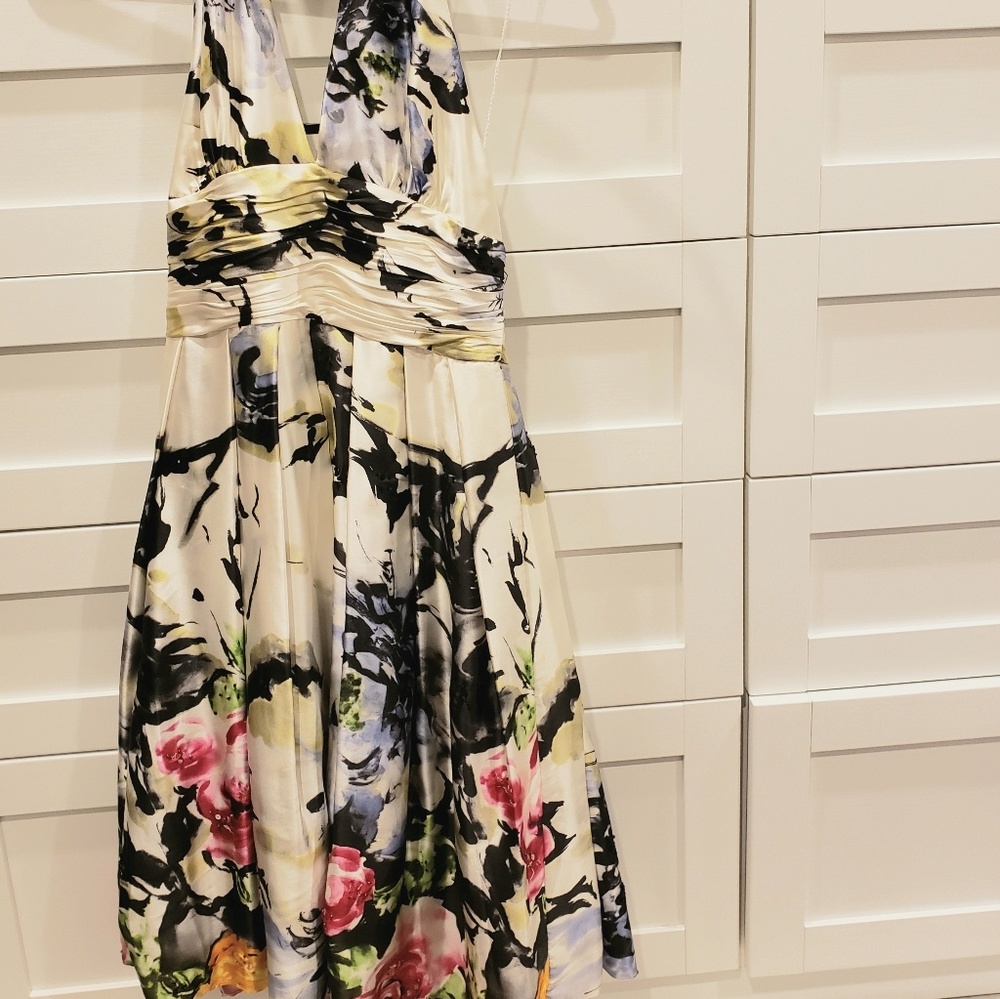Adrianna Papell dress